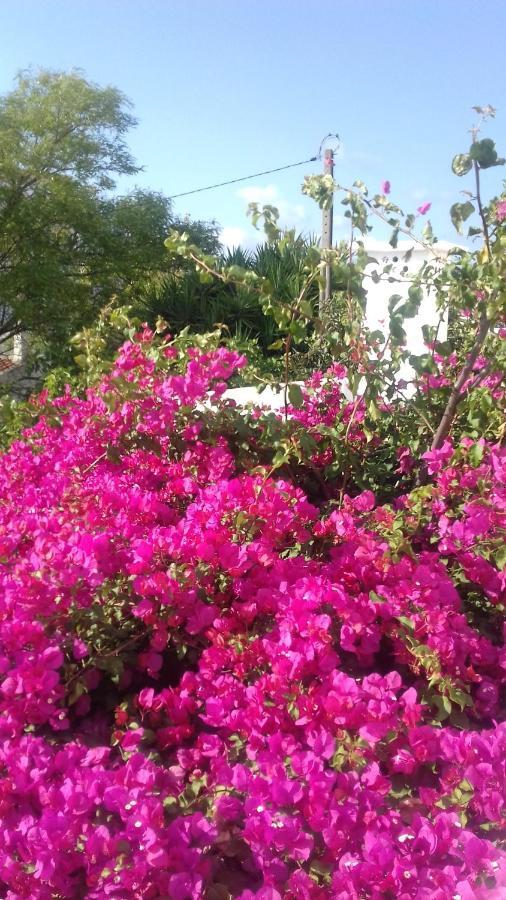 Alojamento de Acomodação e Pequeno-almoço Pensão Algarve São Brás de Alportel